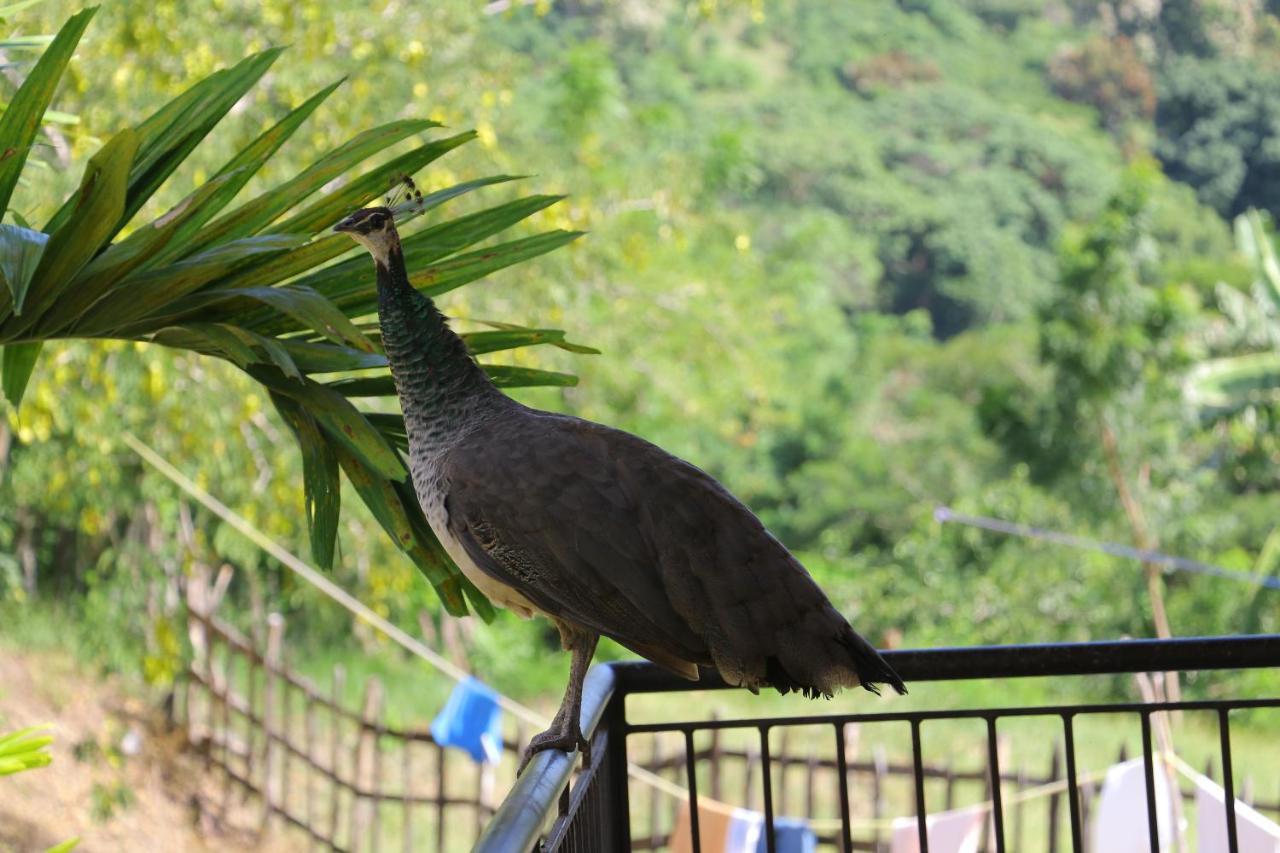 Hotel Colinas Del Rey Hato Mayor Del Rey Eksteriør billede